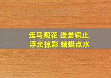 走马观花 浅尝辄止 浮光掠影 蜻蜓点水